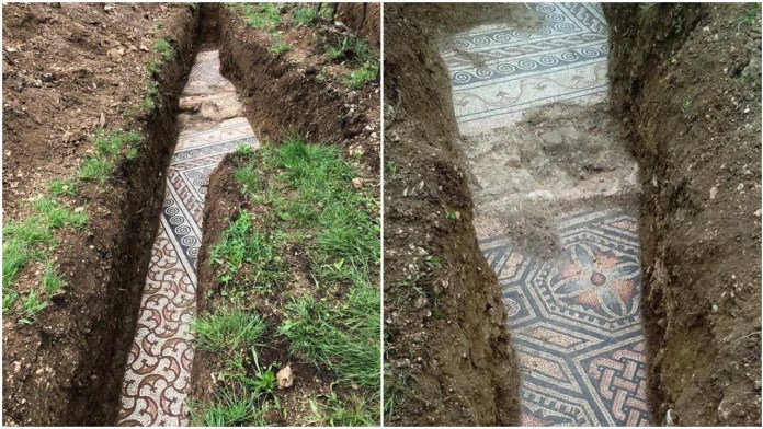 Roman mosaic floor has been discovered under a vineyard in northern Italy