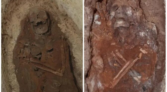Ancient Egyptian ‘city of the dead’ discovery reveals ‘elite’ mummies, jars filled with organs and mystery snake cult