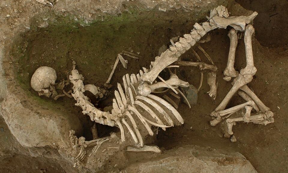 Very strange Gallo roman horse and human burials at Evreux (Eure) France.