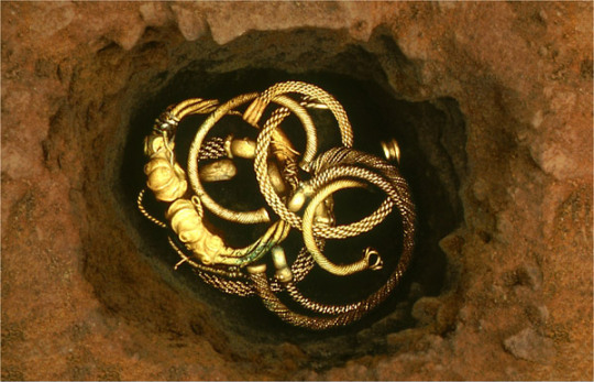 For over 2,000 years, hundreds of gold and silver torcs lay hidden in a Norfolk field discovered by one man and his metal detector.