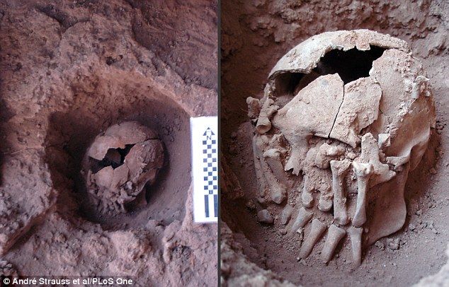 A 9,000-year-old head with amputated hands laid over could be the oldest ritual beheading in the Americas