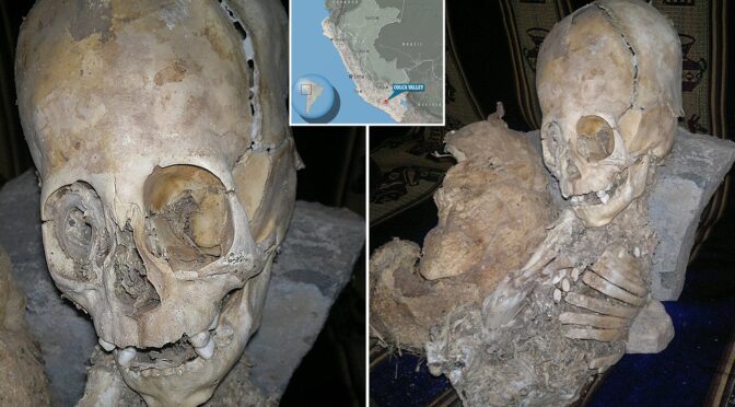 Researchers in Bolivia find two skeletons with abnormally elongated skulls