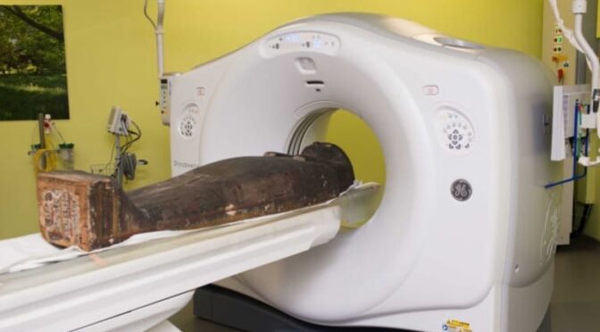 CT Scans Reveal Contents of Small Ancient Egyptian Mummies