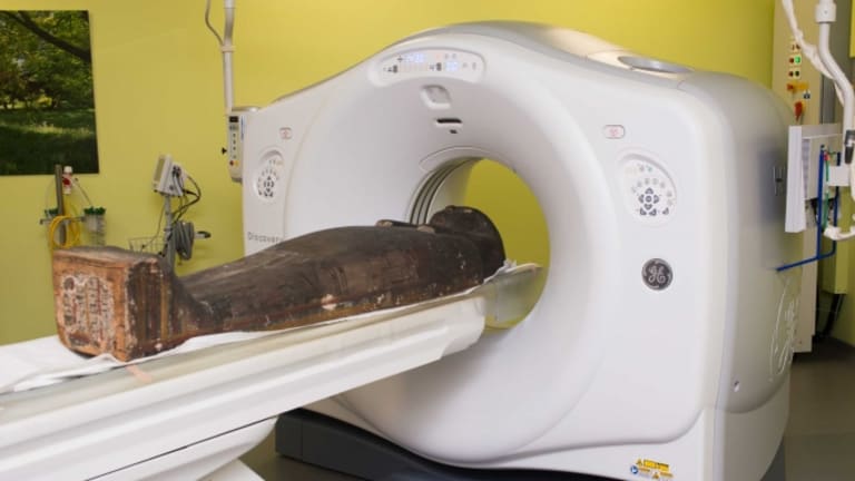 CT Scans Reveal Contents of Small Ancient Egyptian Mummies