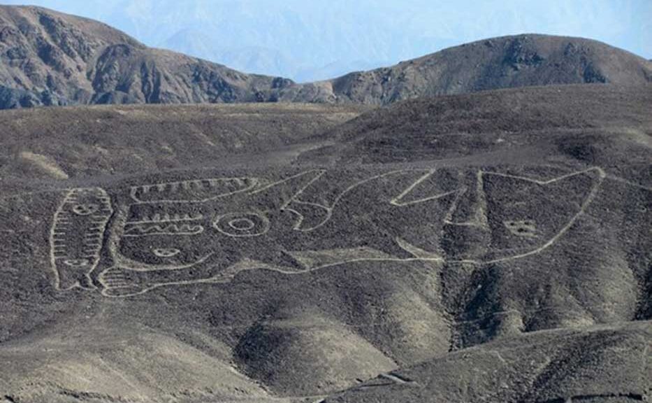 Gigantic 2,000-Year-Old Geoglyph of an Orca Is One of the Earliest in Peru