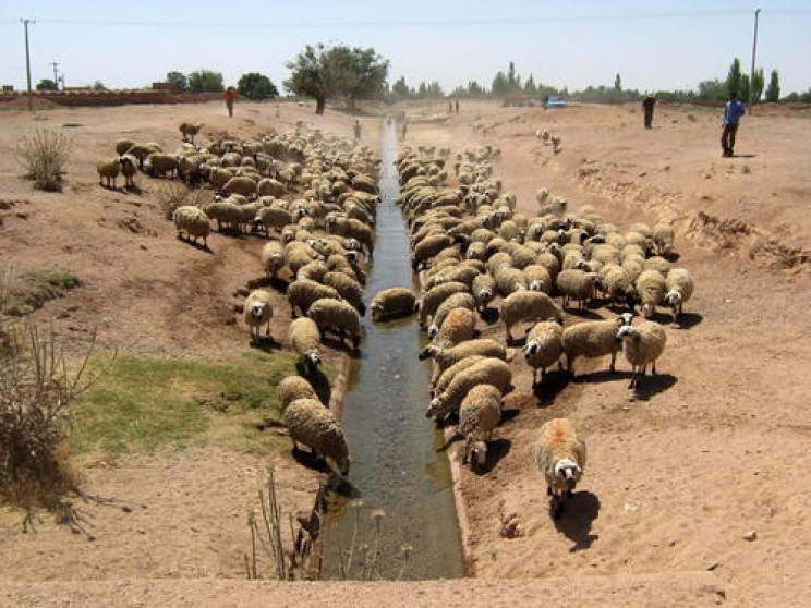 Ancient 3,000YearOld Underground Irrigation Canals Invented By People