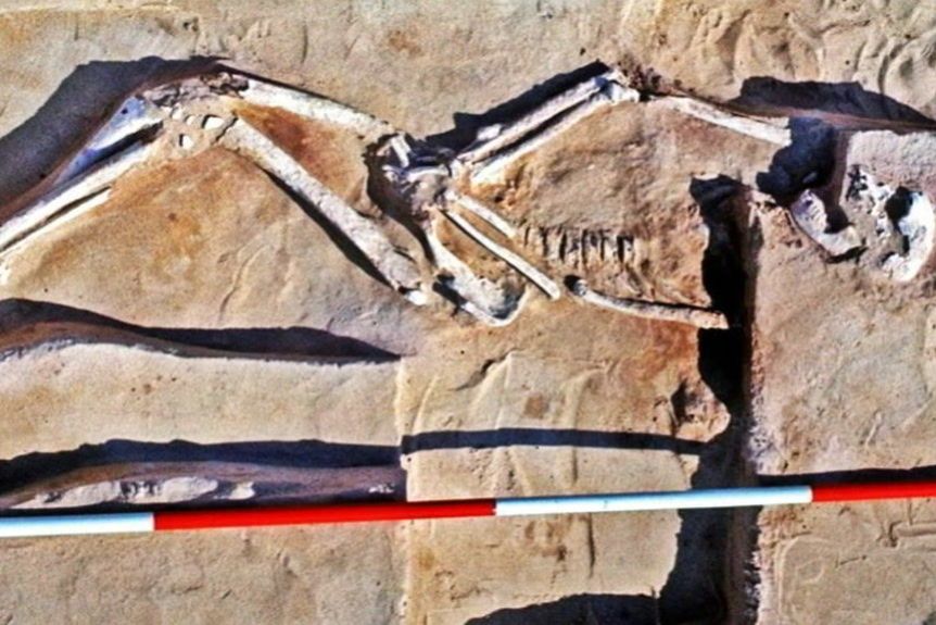 A geologist who unearthed Mungo Man fights for 42,000-year-old remains