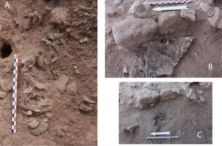 Early Neolithic Cremation Burial in Israel Examined