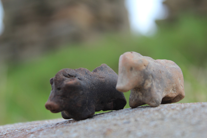 Unique 3,500-year-old Pig Figurines Discovered in Poland