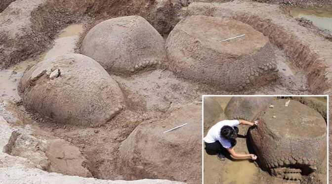 Argentinian farmer Discovered a prehistoric giant Armadillo shell