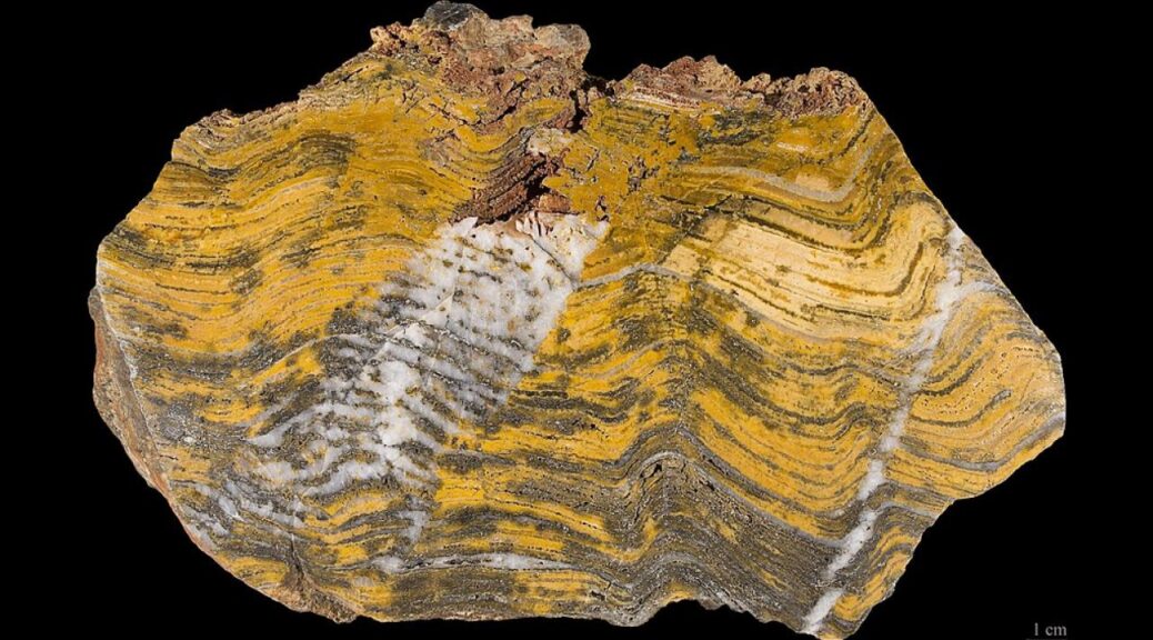 Oldest evidence of life on land found in 3.48 billion-year-old Australian rocks
