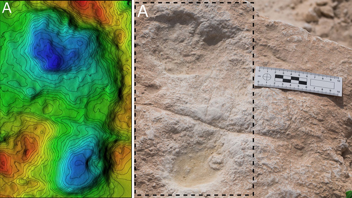 120,000-Year-Old Footprints Found in Saudi Arabia