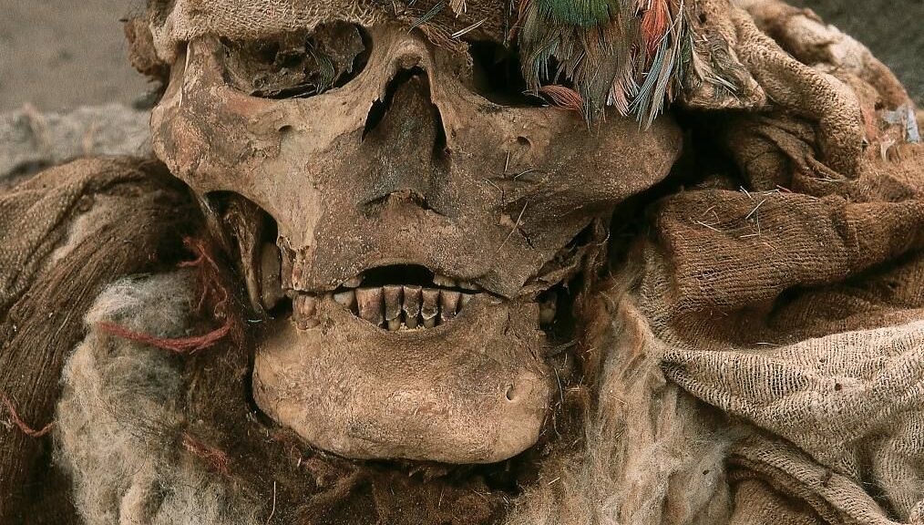 1,000-Year-Old Mummy of an Incan man wearing a feather headdress found near Lima, Peru