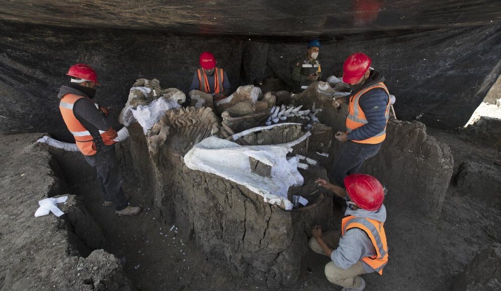 At least 200 mammoth skeletons discovered under the Mexico City airport site