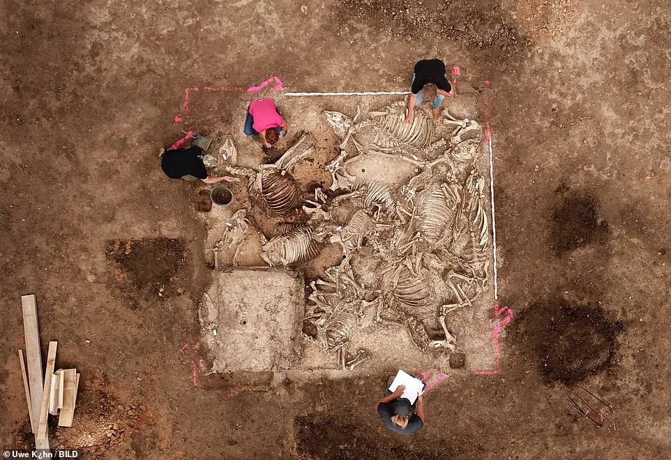 Ancient Germanic lord was buried with a circle of six women