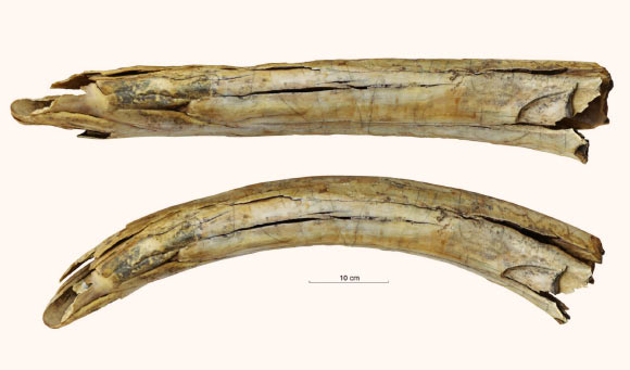 Archaeologists Find 13,000-Year-Old Engraved Mammoth Tusk in Siberia