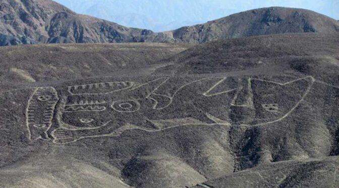 Gigantic 2,000-Year-Old Killer Whale Geoglyph Found in Peru Desert