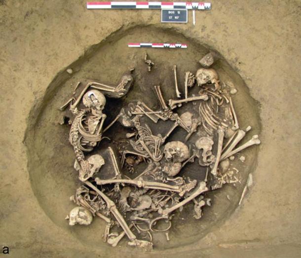 A circular pit, bearing the skeletons of seven people placed on a bed of severed arms (pictured), is shedding new light on violent conflicts of 6,000 years ago. The 6.5ft (two metres) deep circular pit was found in Bergheim by archaeologists from Antea Archéologie in Habsheim and the universities of Strasbourg and Bordeaux