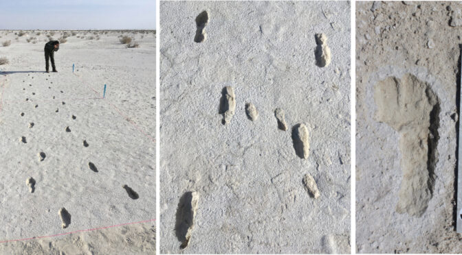 World’s longest fossilized human trackway discovered at White Sands