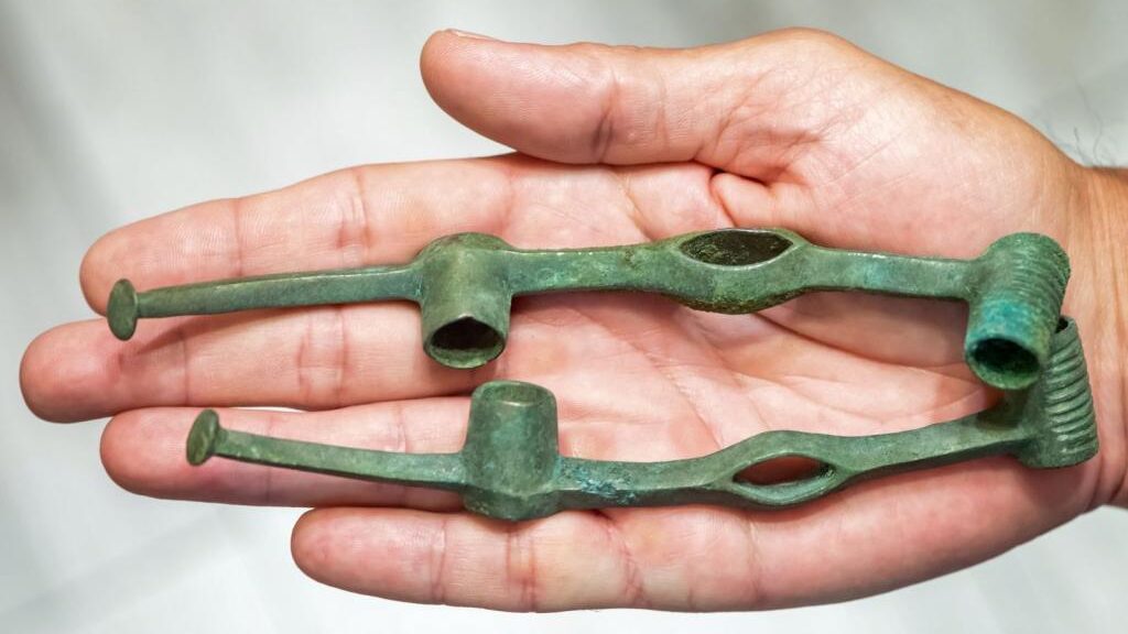 2,500-Year-Old Iron Age horse harness found by accident is oldest in CEE, say, archaeologists
