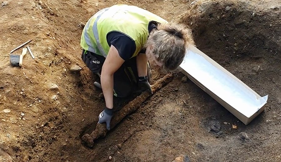 Viking sword found in a grave in central Norway