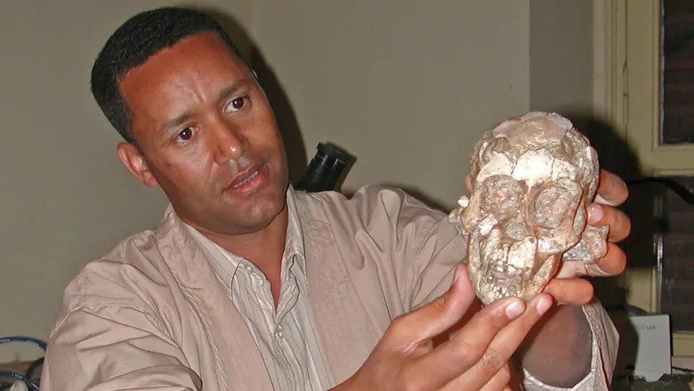 This 3.3-Million-Year-Old Hominin Toddler Was Kind of Like Us