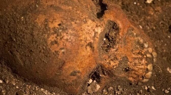Skeletons Found Under a Florida Wine Shop May Be Some of America’s First Colonists