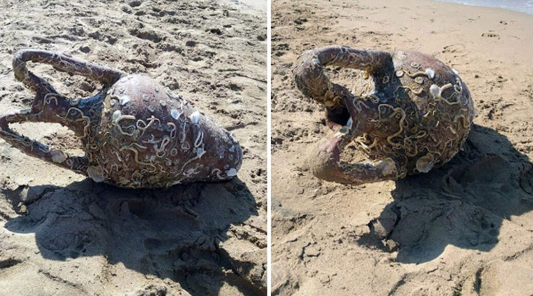Byzantine Amphora Found By Swimmer At Cretan Beach