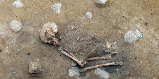 'Lady Of Bietikow' May Have Died Of A Tooth Infection 5,000 Years Ago