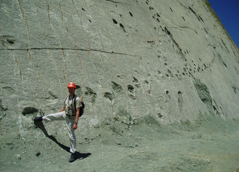 Wall In Bolivia Contains More Than 5,000 Dinosaur Footprints