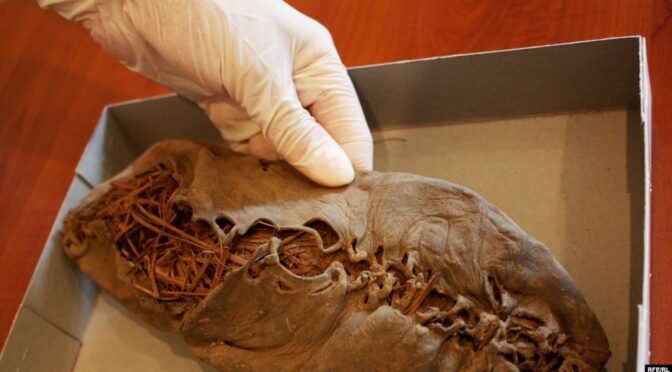 World’s oldest leather shoe which is 1,000 years older than the Great Pyramid.