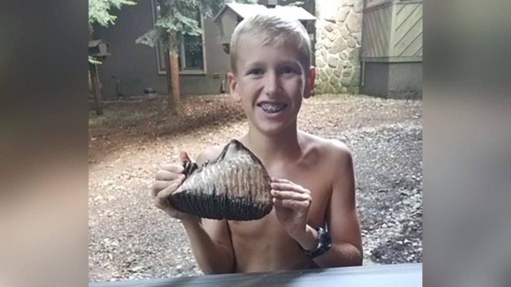 A 12-Year-Old Boy Found an Ancient Woolly Mammoth Tooth During a Vacation in Ohio