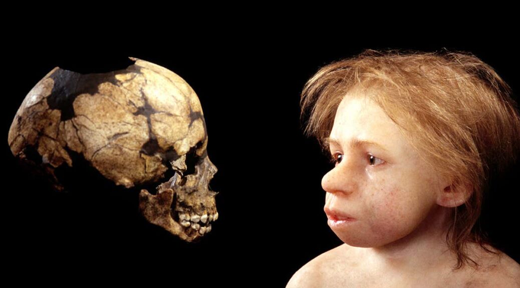 48,000-Year-Old Neanderthal Baby Teeth Analyzed