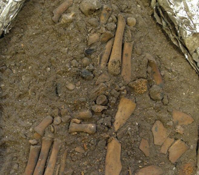 Rare Ancient Child Burial Reveals 8,000-Year-Old Secrets of the Dead