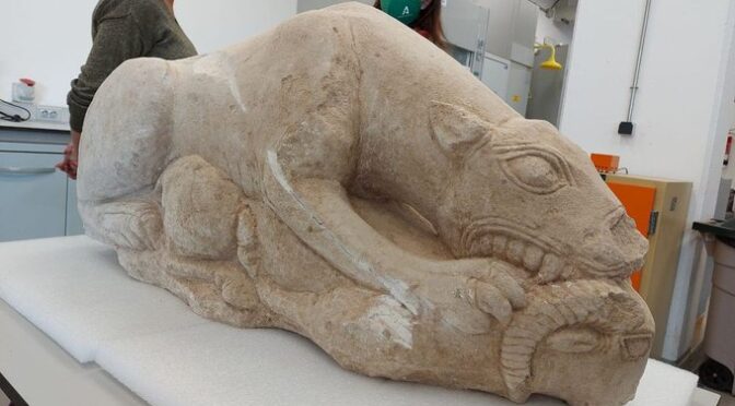 Spanish Farmer Finds 3,000 Years Old Lion Sculpture While Ploughing His Olive Grove