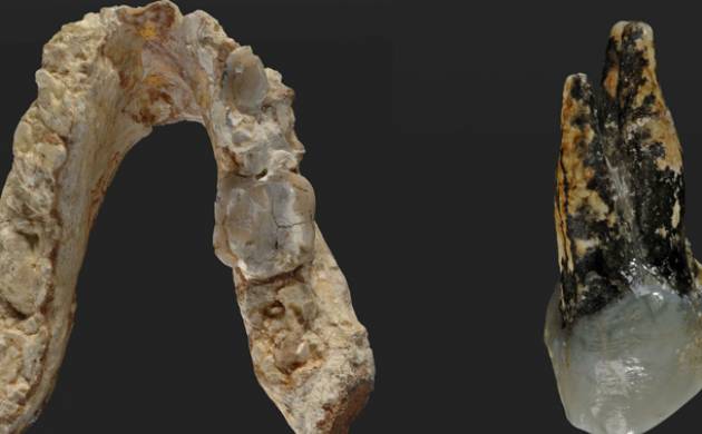 7.2 million-year-old Pre-human fossil suggests mankind arose in Europe, not Africa
