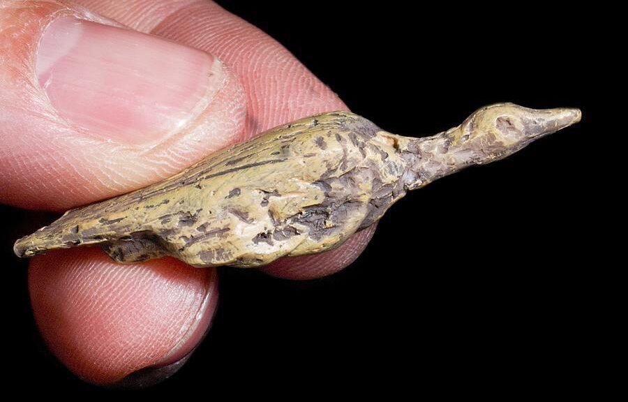 The Small Sculpture of a Waterbird was Carved 33,000 years ago