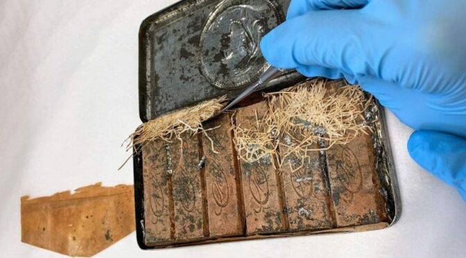 Chocolate uncovered by National Library 120 years past expiry date still almost good enough to eat