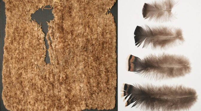 800-year-old Pueblo Indian blanket made out of 11,500 turkey feathers