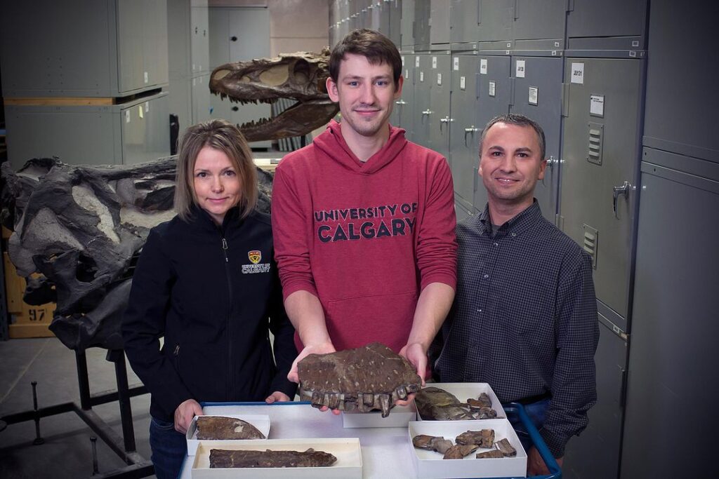 Darla Zelenitsky, Jared Voris and François Therrien stand with the Thanatotheristes fossils.