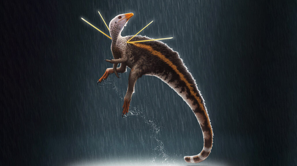 A bizarre chicken-sized dinosaur named lord of the spear is discovered in Brazil