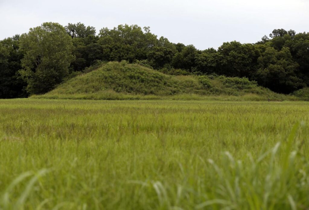 Heavily Damaged by the looters in 1930, Criag mound at the spiro mounds Archaeological centre was restored in the 1970 to show tourists how its originally looked.