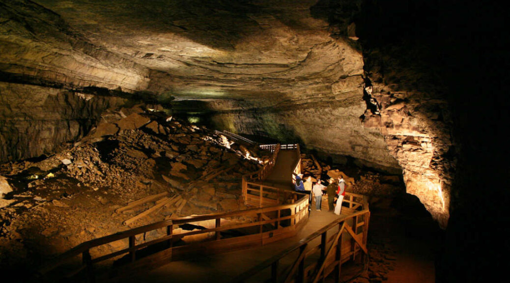 A 300 Million-Year-Old Shark Skull Was Discovered Inside Kentucky Cave