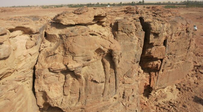 2,000-Year-Old Rock Carvings of Camels Discovered in Saudi Arabia