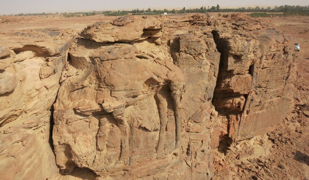 2,000-Year-Old Rock Carvings of Camels Discovered in Saudi Arabia
