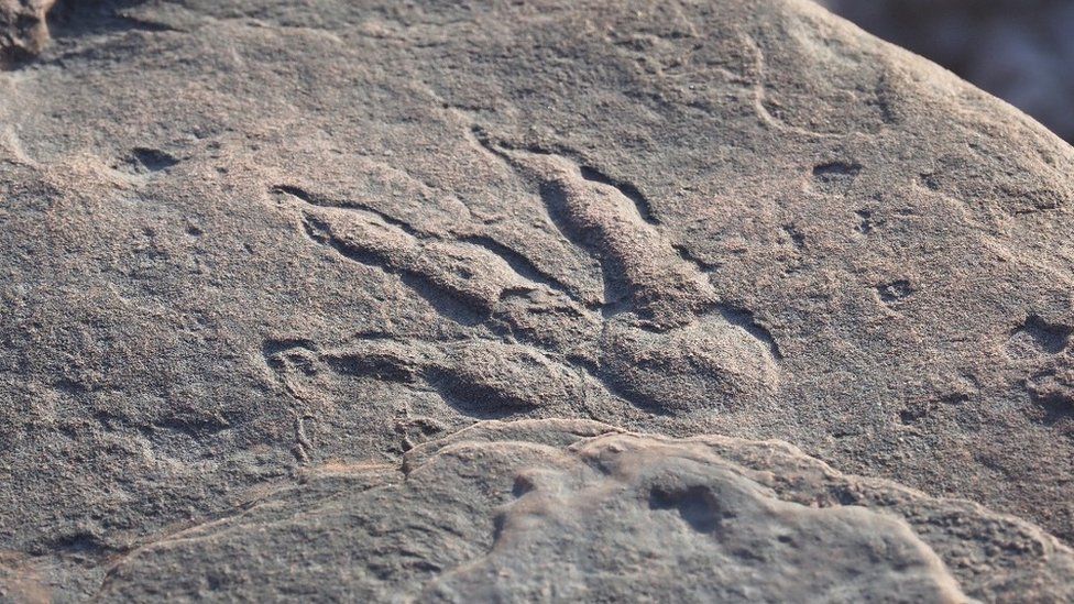 4-Year-Old Girl Finds Dinosaur Footprint On Beach In Wales