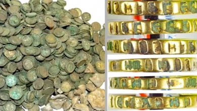 6,500 Medieval Coins And Gold Rings Found In A Field