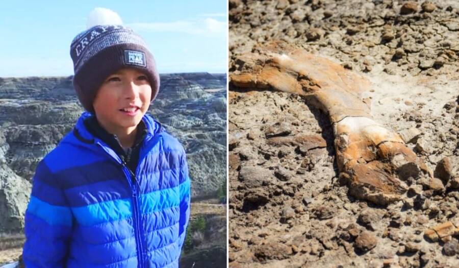 12 Year Boy discovers rare dinosaur skeleton in a remote part of Canada