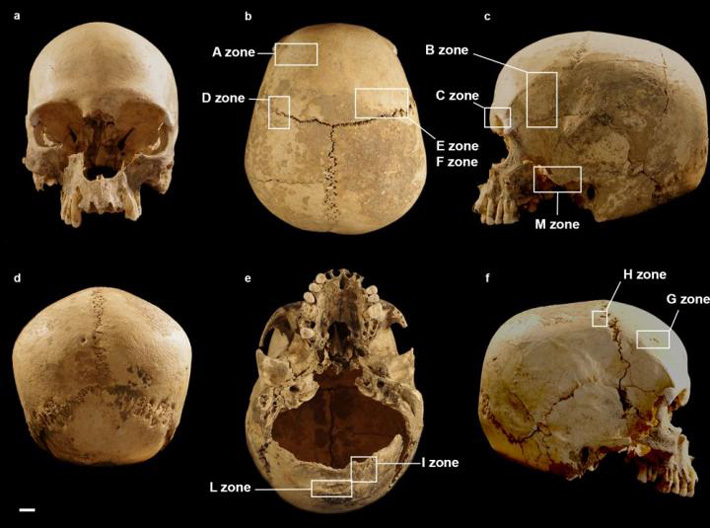 Archaeologists Solve Mystery of 5,600-Year-Old Skull Found in Italian Cave
