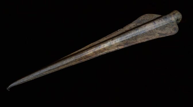 Bronze Age Spear Discovered on the Island of Jersey